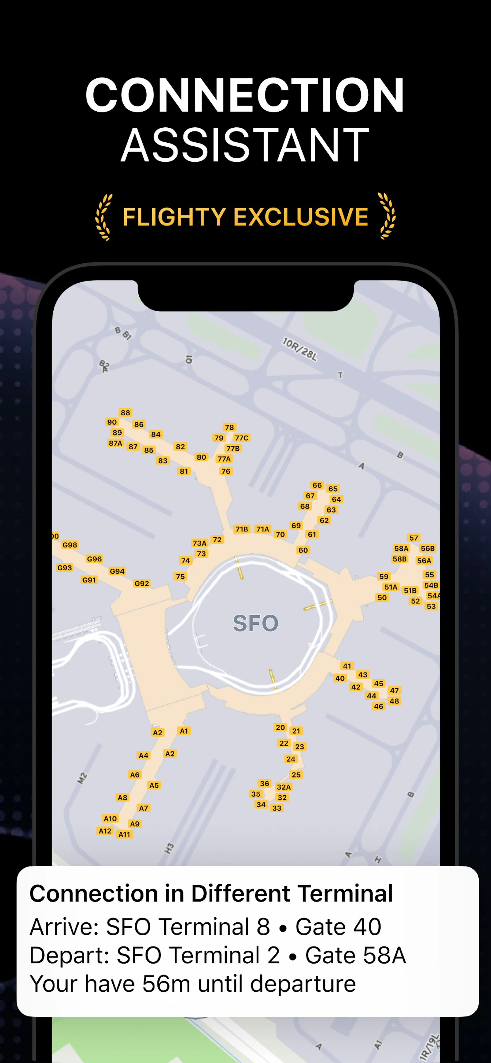 Flighty screenshot — Flight Tracking Made Easy