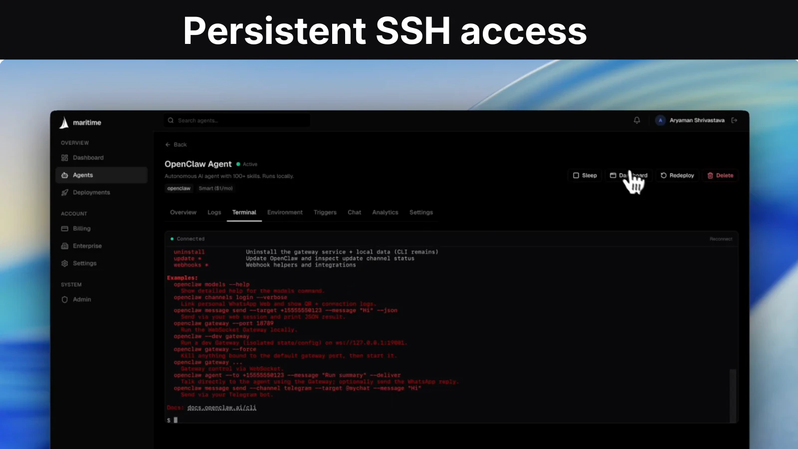 Maritime screenshot — Deploy and Host AI Agents for $1/month