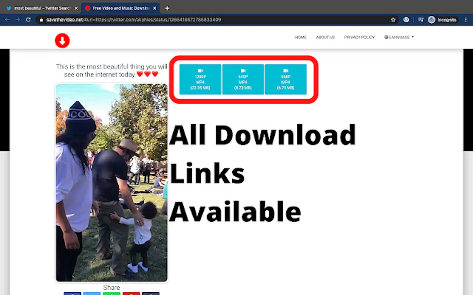Savetweetvid screenshot — Download Twitter videos and gifs in Chrome