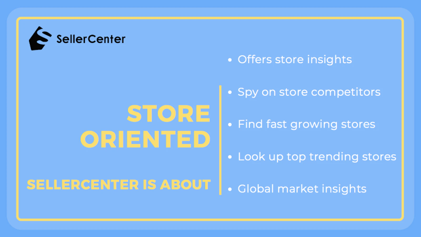 SellerCenter screenshot — Store-oriented analytical tool