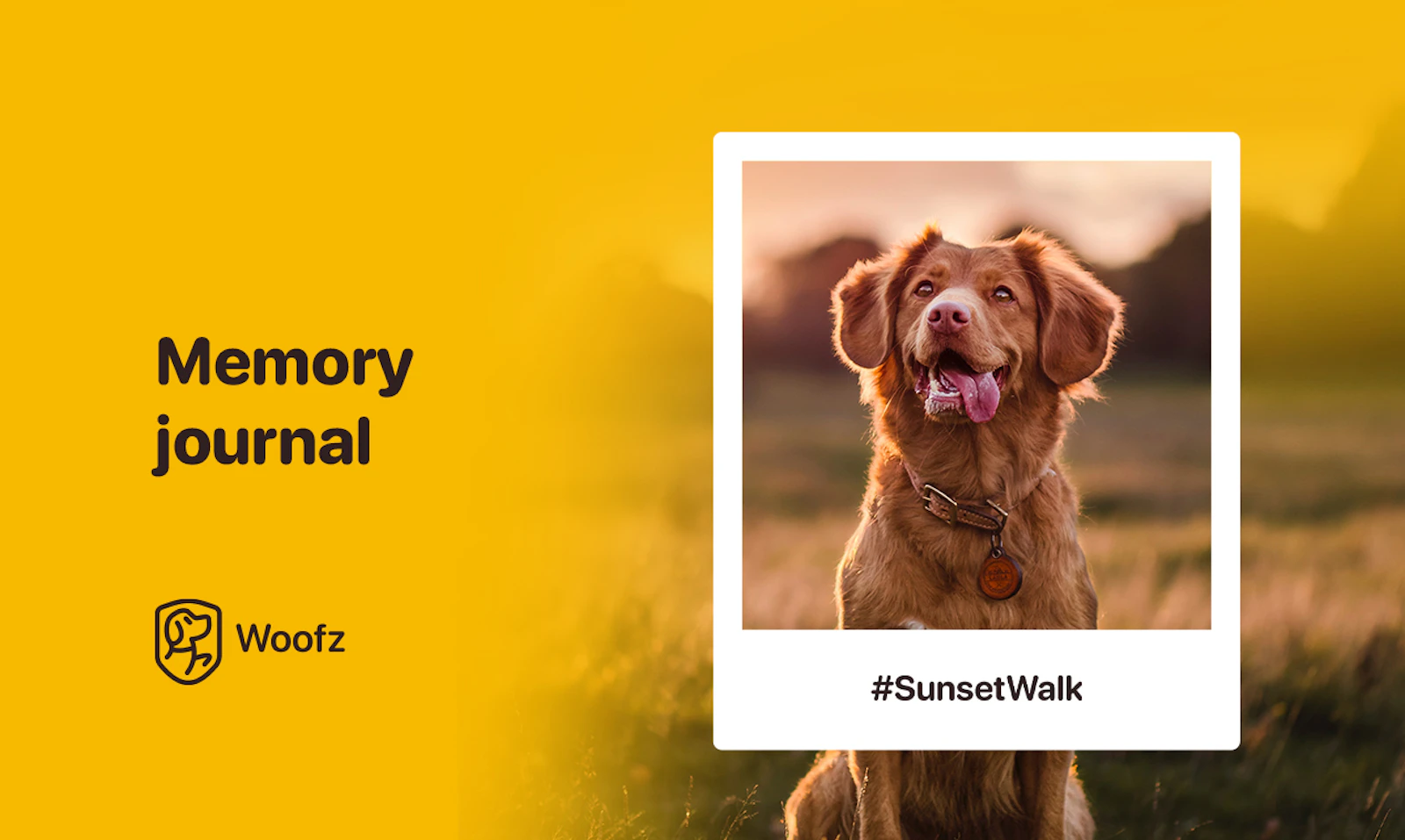 Woofz screenshot — Must-have dog training app for all dog owners & owners-to-be